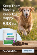 Hip & Joint Chews for Dogs