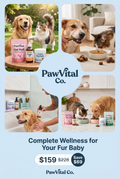 Complete PawVital Wellness Bundle