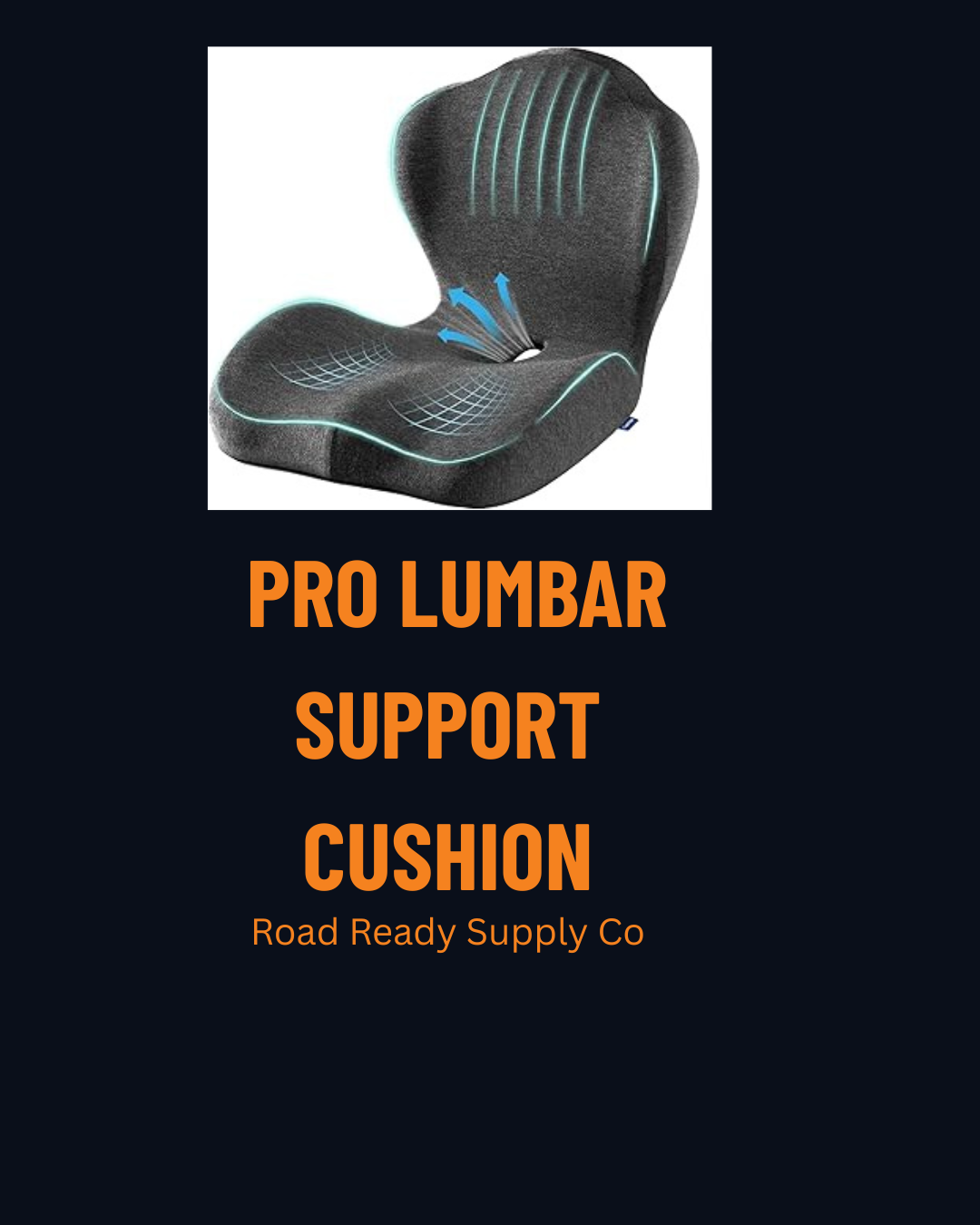 Pro Lumbar Support Cushion